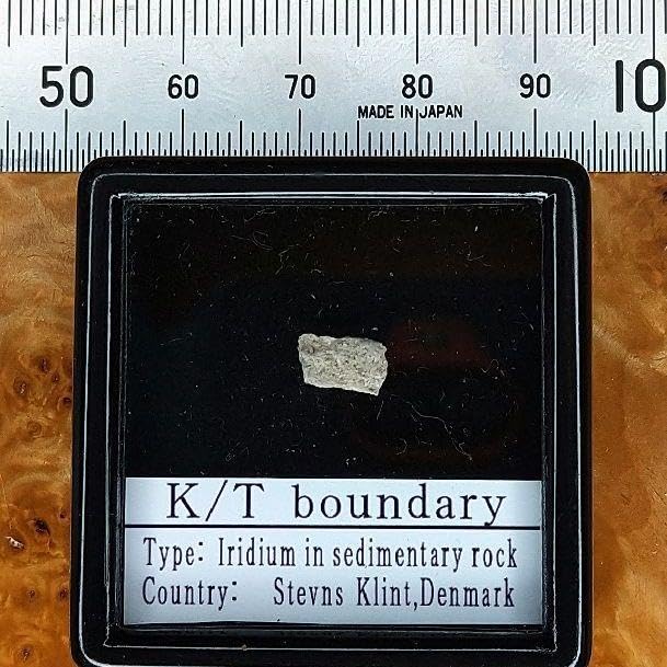 恐竜絶滅！小惑星のかけら K-T境界層 標本 【公式通販】